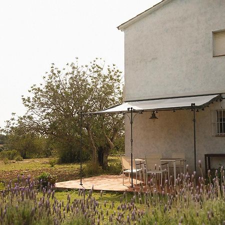 Masia Bartomeu Rural House Between Vineyards 2Km From The Beach El Vendrell Ngoại thất bức ảnh
