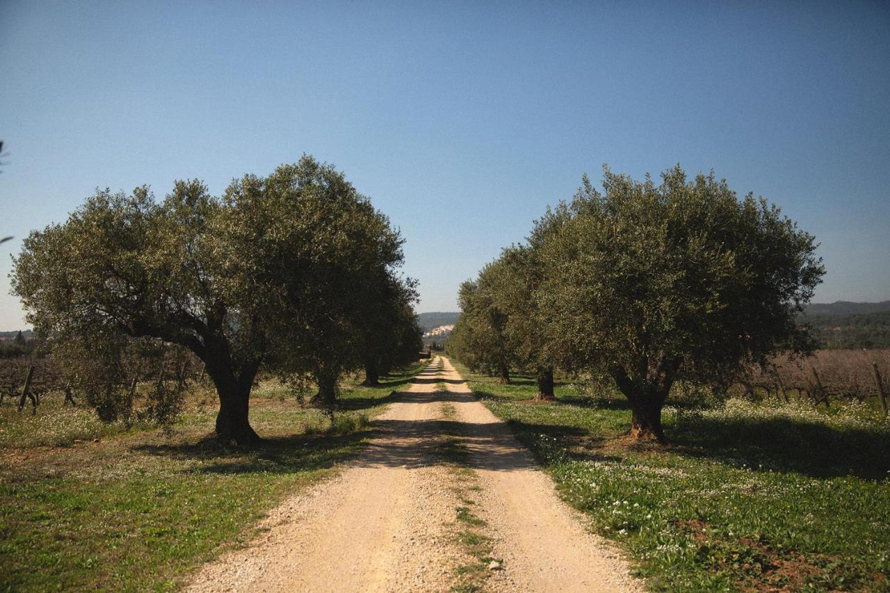 Masia Bartomeu Rural House Between Vineyards 2Km From The Beach El Vendrell Ngoại thất bức ảnh