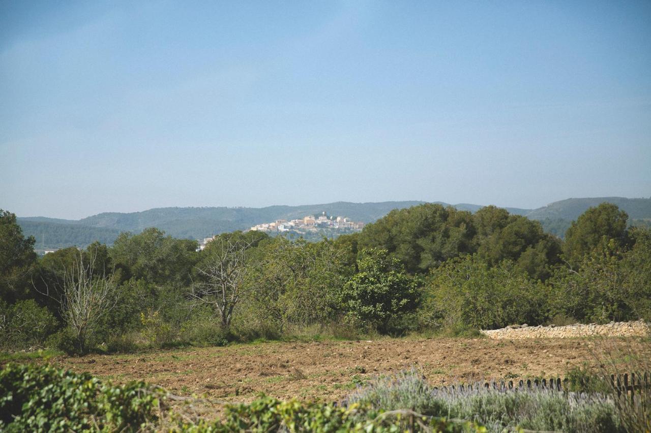 Masia Bartomeu Rural House Between Vineyards 2Km From The Beach El Vendrell Ngoại thất bức ảnh