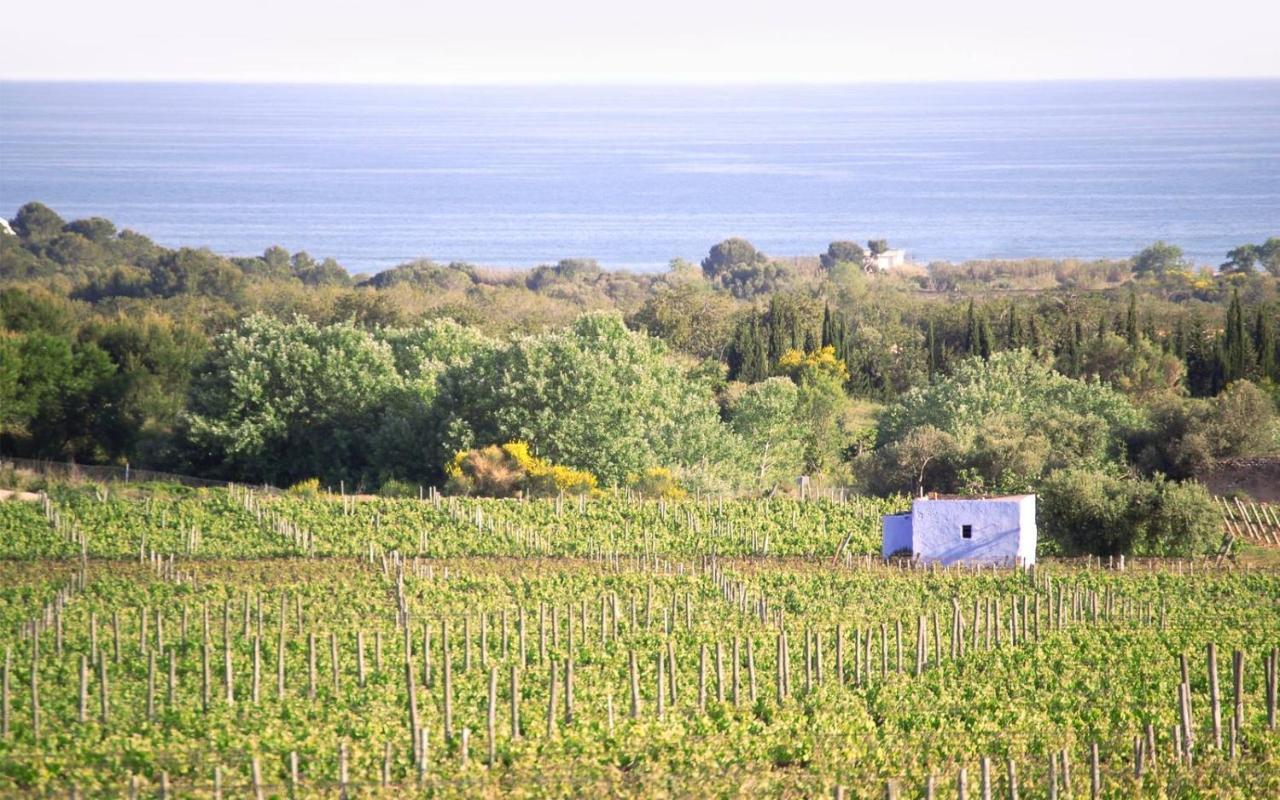 Masia Bartomeu Rural House Between Vineyards 2Km From The Beach El Vendrell Ngoại thất bức ảnh
